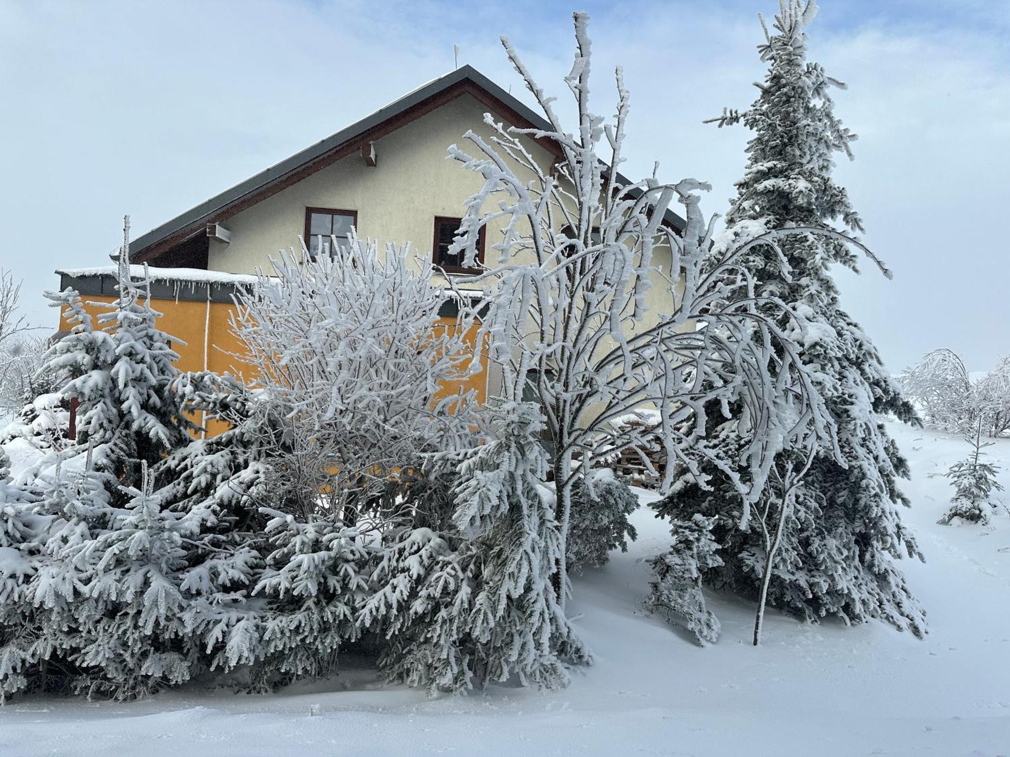 Villa Srdecni Zalezitost Boží Dar Exterior foto